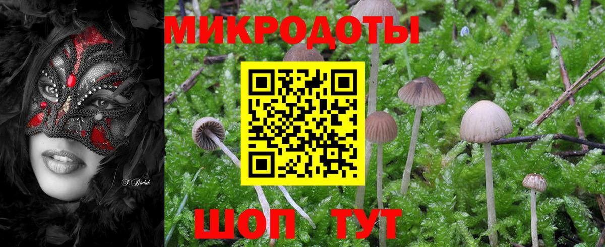 Псилоцибиновые грибы Psilocybe  Псилоцибиновые грибы GOLDEN TEACHER  купить   Сухой Лог  Вход с VPN 